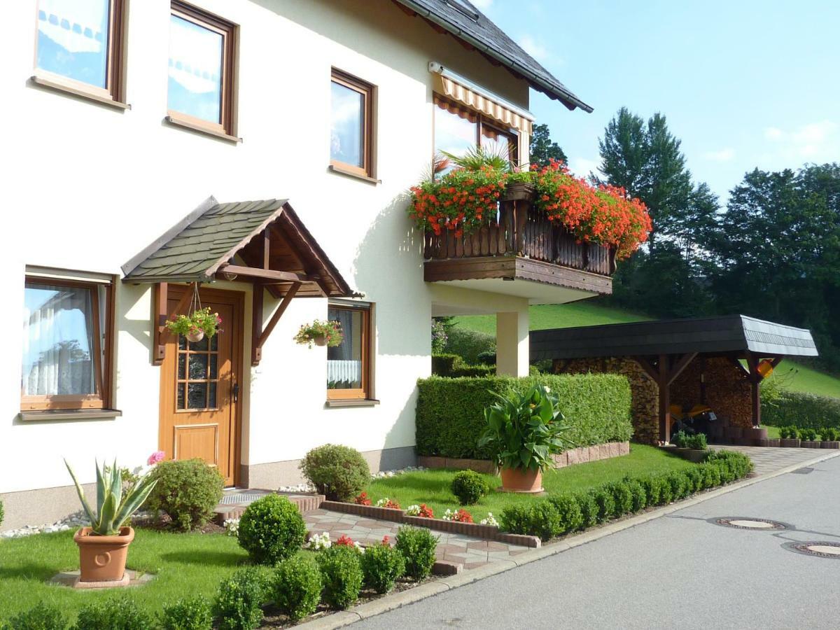 Ferienwohnung Edelmann Markersbach Zewnętrze zdjęcie